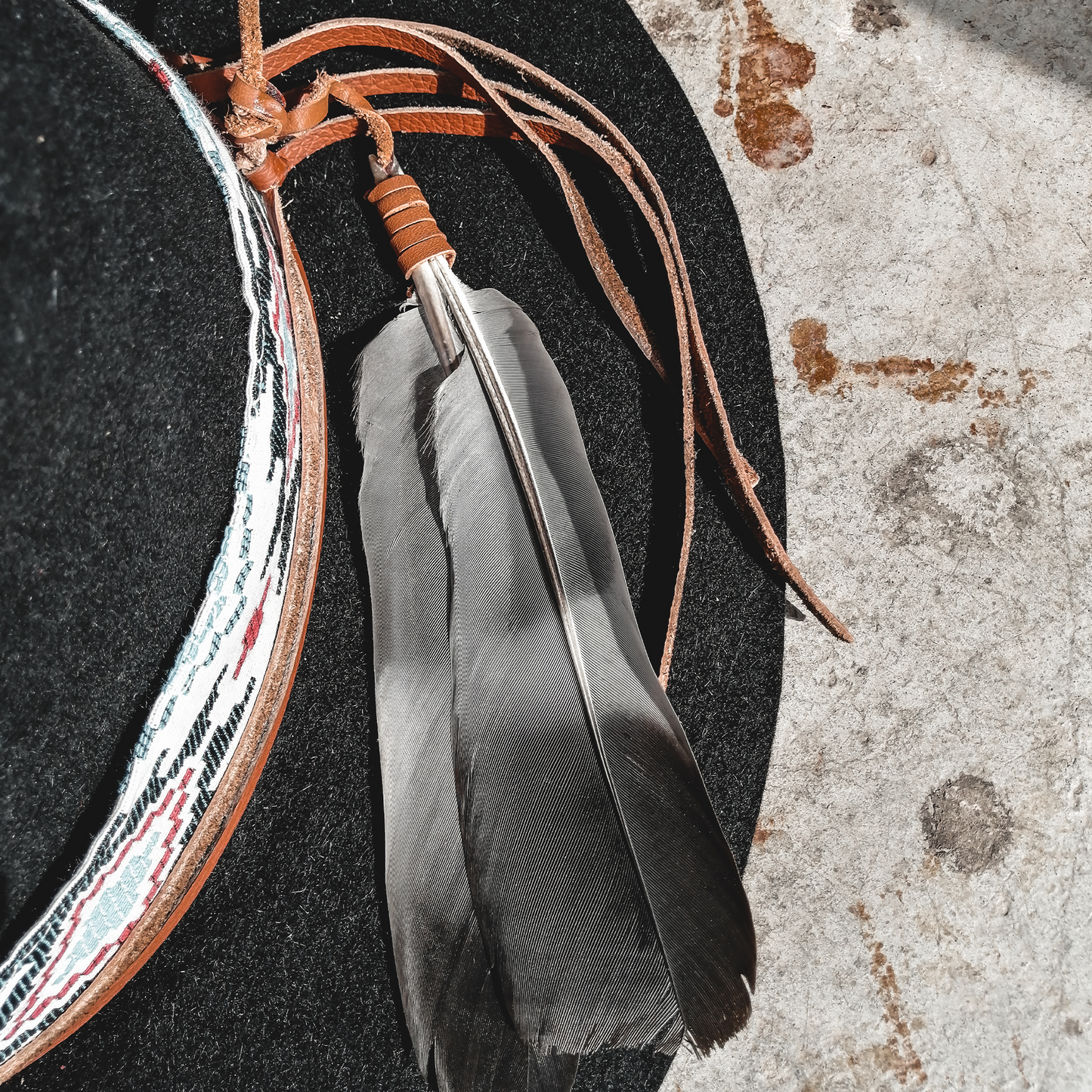 Sioux Feathers